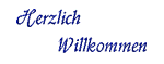 :00009